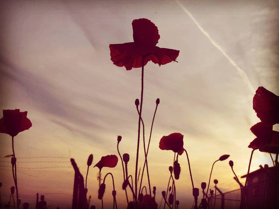 Spava li Slavonija i kako ju probuditi?